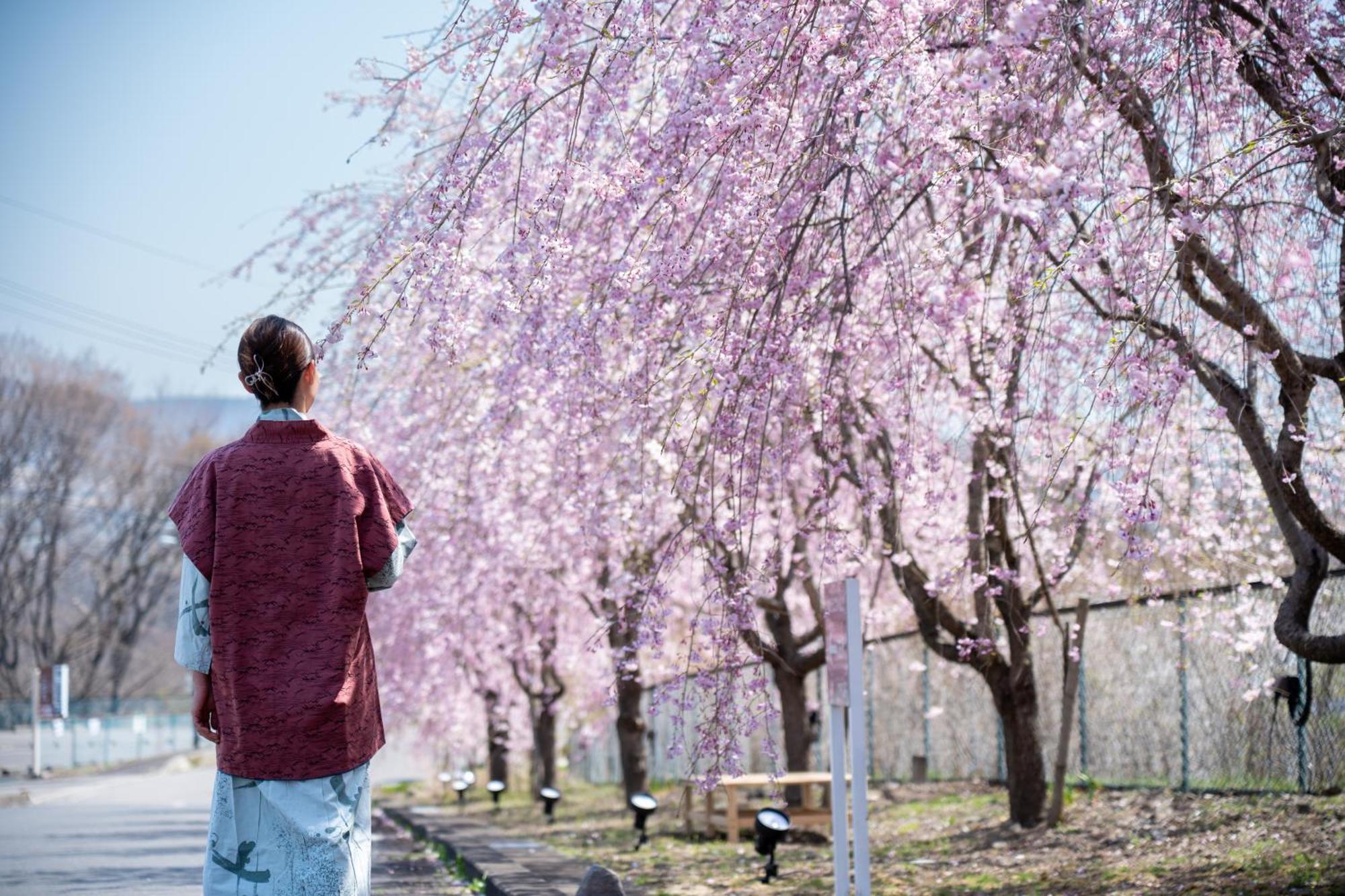 Nunohiki Onsen Komoro Eksteriør billede